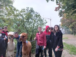 Alpaki w ZPR-S Oława