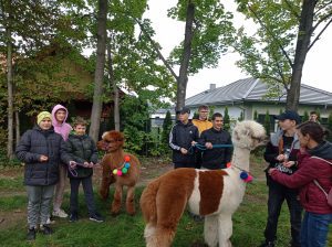 Alpaki w ZPR-S Oława 1