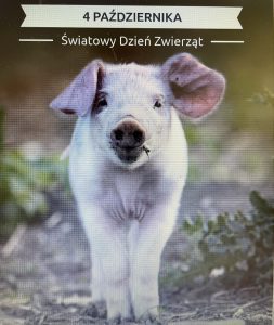 Światowy Dzień Zwierząt - obrazek