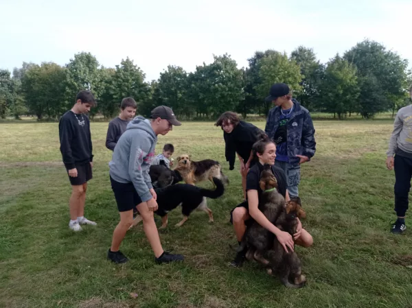 Światowy Dzień Zwierząt 2023