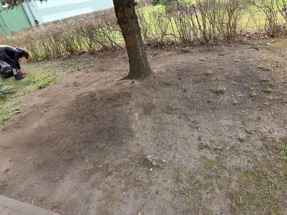 Sprzątanie wokół placówki - wiosna 2026